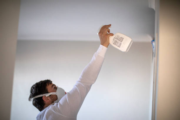 Best Certified Mold Removal  in China Spring, TX